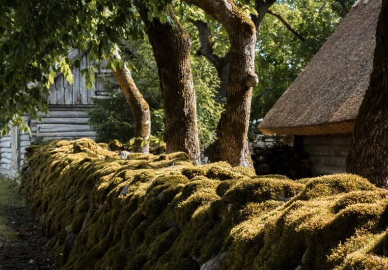 Charming rustic cabin with a moss-covered stone wall in a lush summer landscape.
